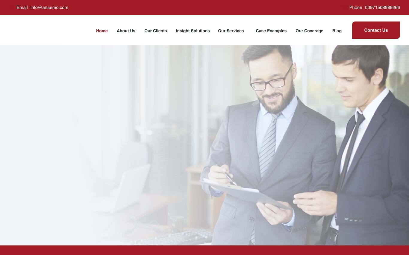 Anaemo Consultancy homepage