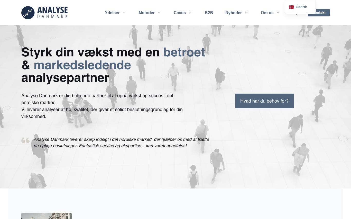 Analyse Danmark homepage