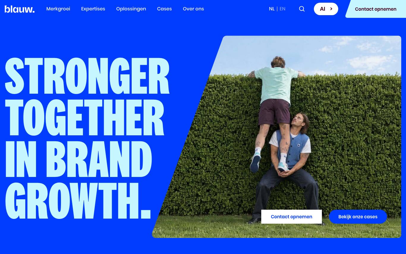 Blauw Research homepage